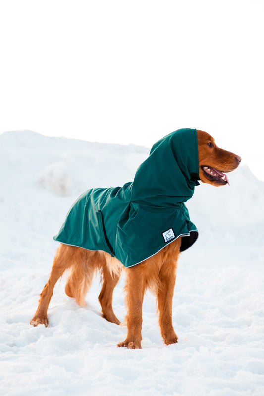 The Dos and Don'ts of Buying a Winter Jacket for Your Dog
