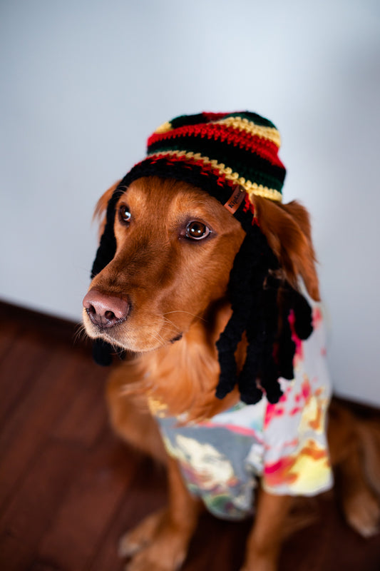 Crochet Rasta Dog Beanie with Dreadlocks