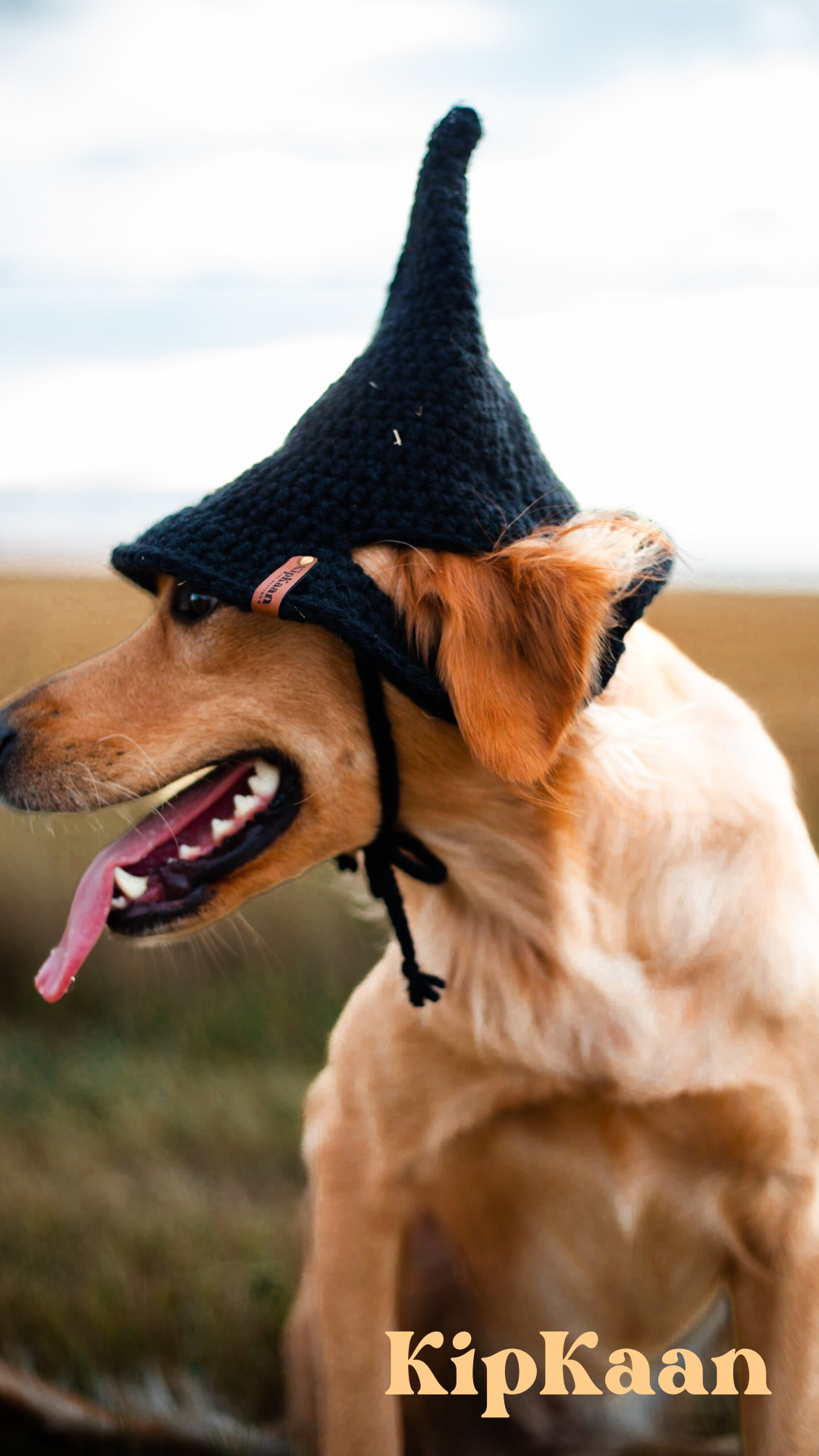 Handcrafted Crochet Dog Witch Hats